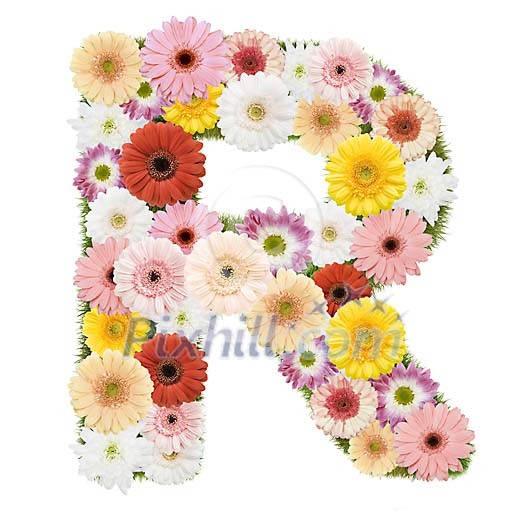 Clipped Flower Stock Images