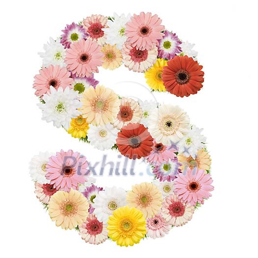 Clipped Flower Stock Images