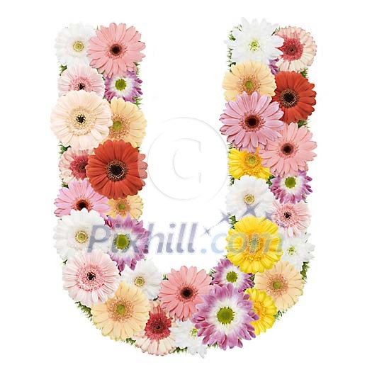 Clipped Flower Stock Images Clipped Flower Stock Images