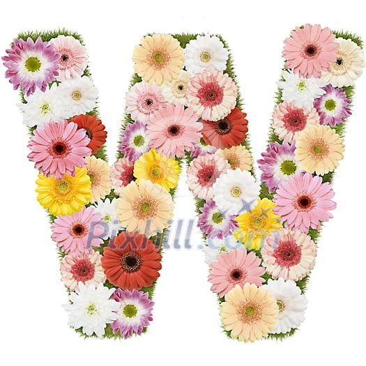 Clipped Flower Stock Images Clipped Flower Stock Images