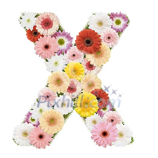 Clipped Flower Stock Images Clipped Flower Stock Images