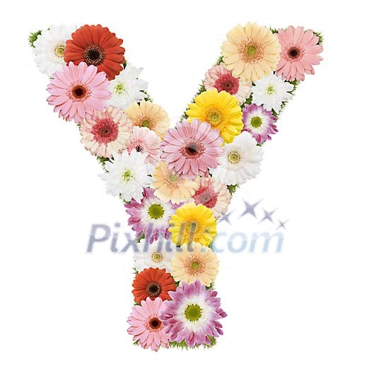 Clipped Flower Stock Images Clipped Flower Stock Images