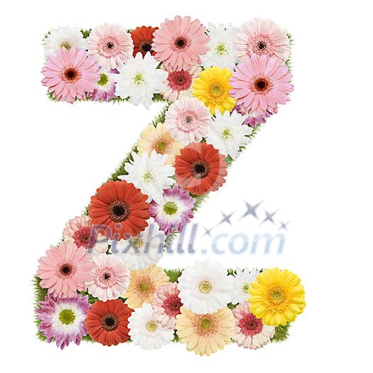 Clipped Flower Stock Images Clipped Flower Stock Images