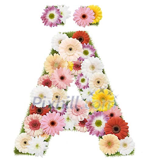 Clipped Flower Stock Images Clipped Flower Stock Images