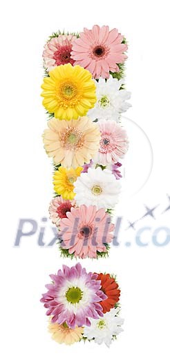 Clipped Flower Stock Images Clipped Flower Stock Images