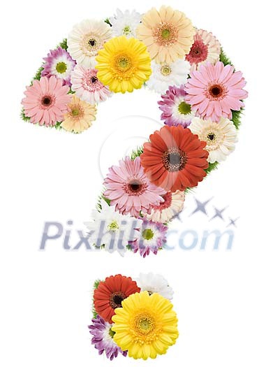 Clipped Flower Stock Images Clipped Flower Stock Images