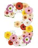 Clipped Flower Stock Images