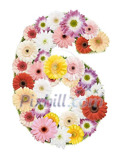 Clipped Flower Stock Images Clipped Flower Stock Images