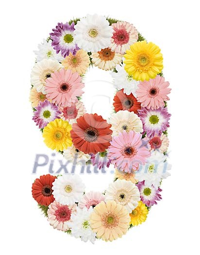 Clipped Flower Stock Images Clipped Flower Stock Images