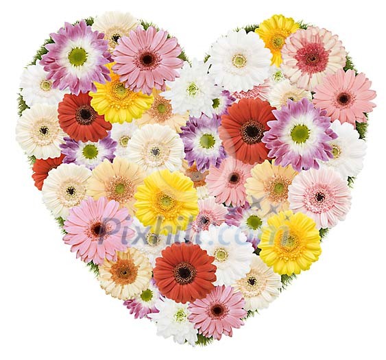 Clipped Flower Stock Images Clipped Flower Stock Images