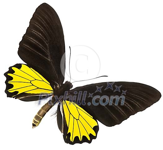 Download Clipped Stock Photos Download Clipped Stock Photos