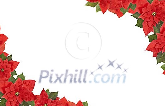 Clipped frame from Christmas Stars Clipped frame from Christmas Stars