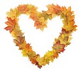 Heart made of maple leaves