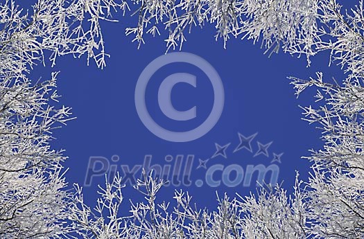 Winter frame made from frosted tree branches Winter frame made from frosted tree branches
