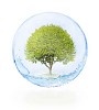 Digital Composite from tree, bubble and water to symbolize environmental issues.