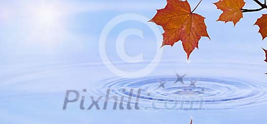 Digital Composite from an Autumn scenery Digital Composite from an Autumn scenery