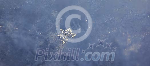 Real Snowflakes Real Snowflakes