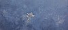 Real Snowflakes