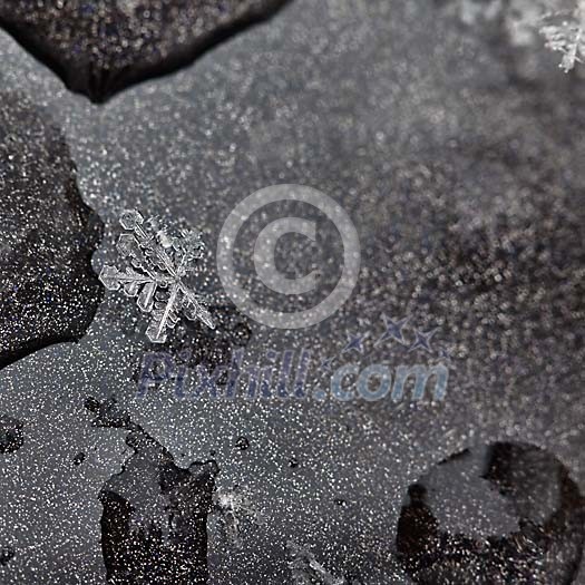 Melting snowflakes on car surface Melting snowflakes on car surface