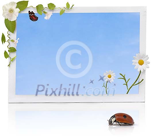 Spring elements around a photo frame Spring elements around a photo frame
