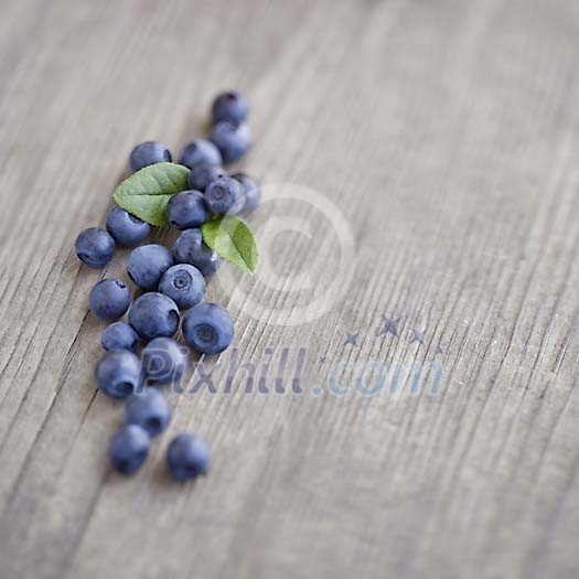 Wild blueberry's on piece of old wood Wild blueberry's on piece of old wood