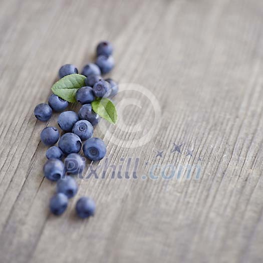 Wild blueberry's on piece of old wood