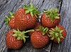 Strawberries on grey wood