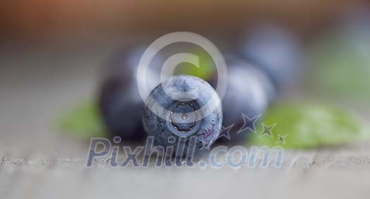 Wild blueberry's on piece of wood Wild blueberry's on piece of wood