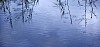 Rain drop circles on water surface