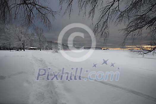 Winter landscape Winter landscape