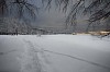 Winter landscape