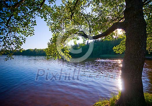 Sunny day at the lake