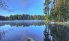 Autumn forest next to a lake