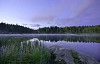 Early morning at the lake