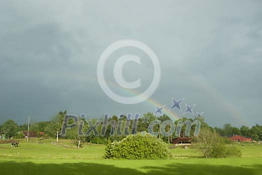Rainbow above the field Rainbow above the field