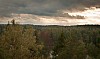 Autumn treetops