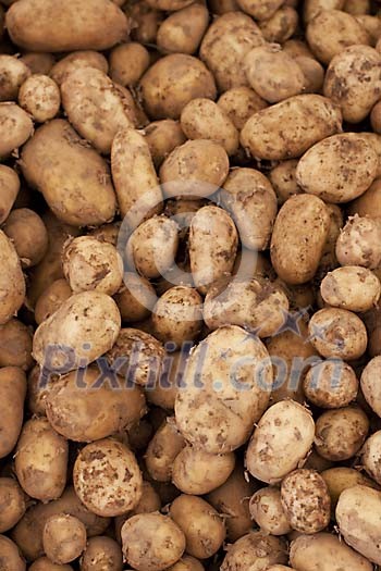 Background image of fresh potatoes Background image of fresh potatoes