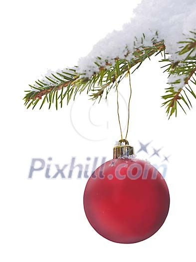 A red christmas ball hanging from snowy tree A red christmas ball hanging from snowy tree