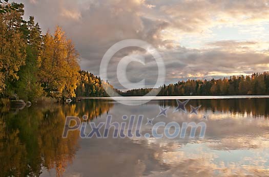 River with autumn coloured trees River with autumn coloured trees