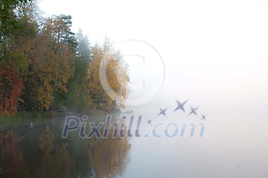 Morning mist at the river Morning mist at the river