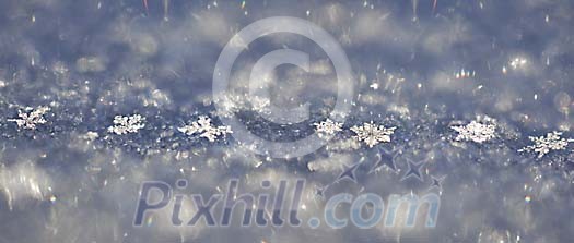Real snowflakes Real snowflakes