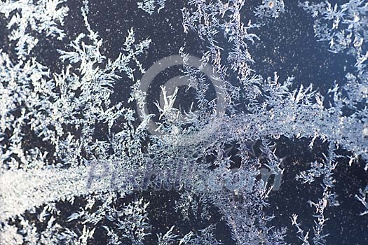 Ice Crystals pattern on the glass Ice Crystals pattern on the glass