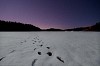 Starry sky on a winter night