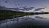 Forest by the lake at night