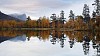 Autumn reflection in small lake