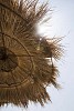 Sun shining over a straw parasol