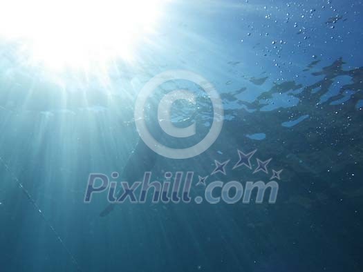 Human figure swimming in pool Human figure swimming in pool