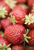 Close-up of fresh strawberries