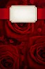 Red roses with a white card