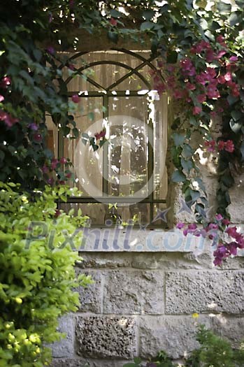 Window surrounded by green plants Window surrounded by green plants